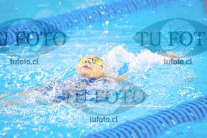 Image NI 100 ED 00242