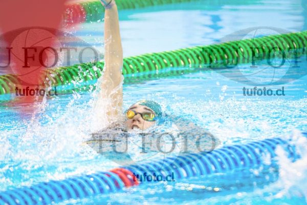 Image NI 100 ED 00333