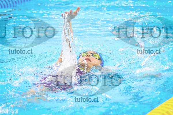 Image NI 100 ED 00355