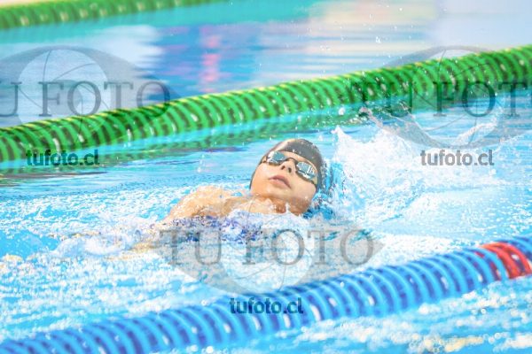 Image zNI 100 EV 00084
