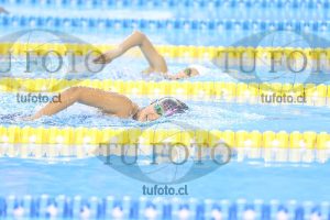 Image NI 800LD 00104