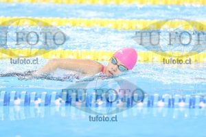 Image NI 800LD 00105