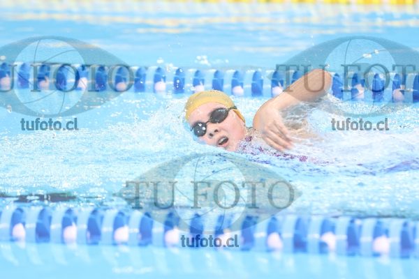 Image NI 800LD 00115