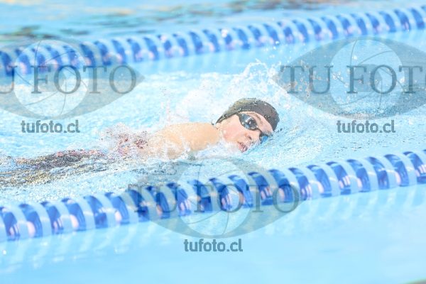 Image NI 800LD 00162