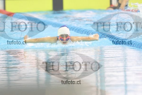 Image NI 100MD 00106