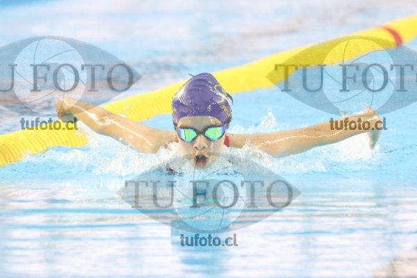 Image NI 100MD 00110