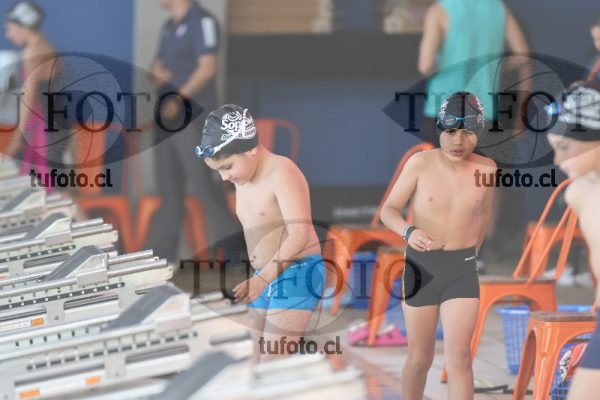 Image Copa Soprole Varones 50 Metros Libre 00003