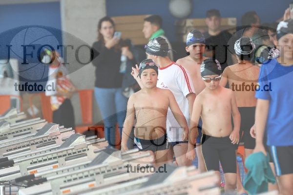 Image Copa Soprole Varones 50 Metros Libre 00011