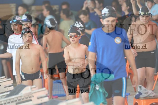 Image Copa Soprole Varones 50 Metros Libre 00012