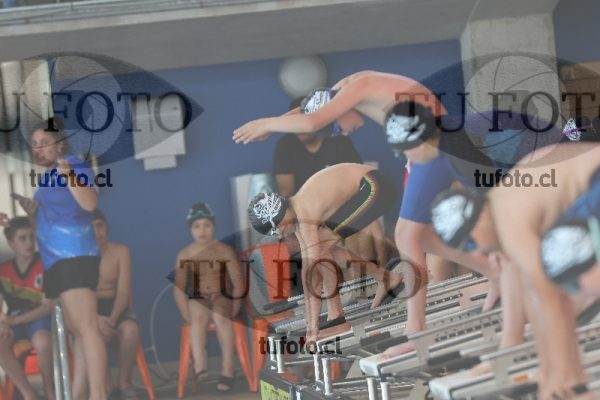 Image Copa Soprole Varones 50 Metros Libre 00034
