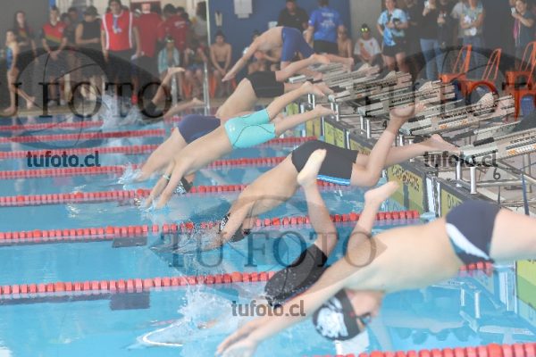 Image Copa Soprole Varones 50 Metros Libre 00039