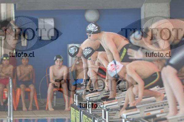 Image Copa Soprole Varones 50 Metros Libre 00054