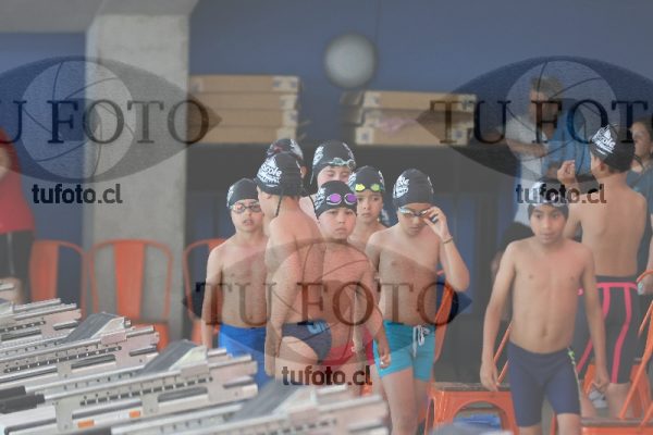 Image Copa Soprole Varones 50 Metros Libre 00061