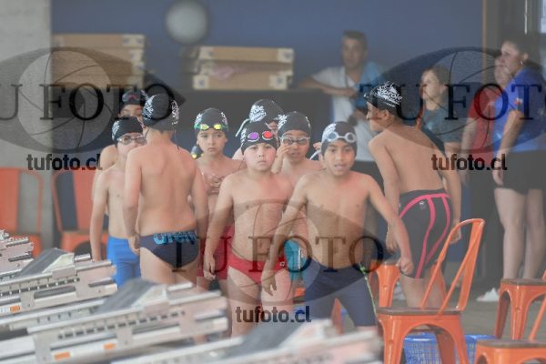 Image Copa Soprole Varones 50 Metros Libre 00062