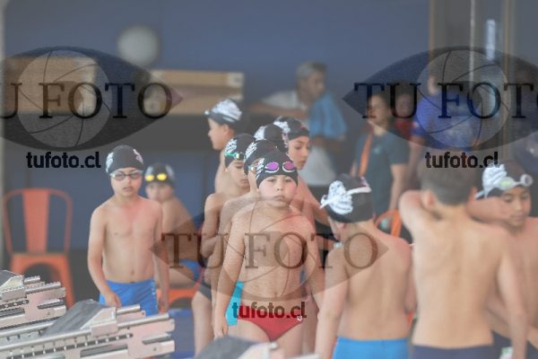 Image Copa Soprole Varones 50 Metros Libre 00065