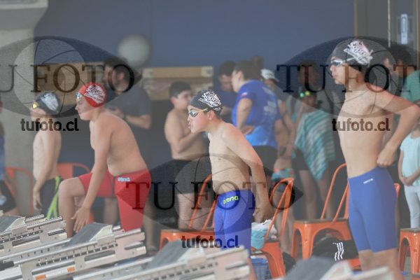 Image Copa Soprole Varones 50 Metros Libre 00131