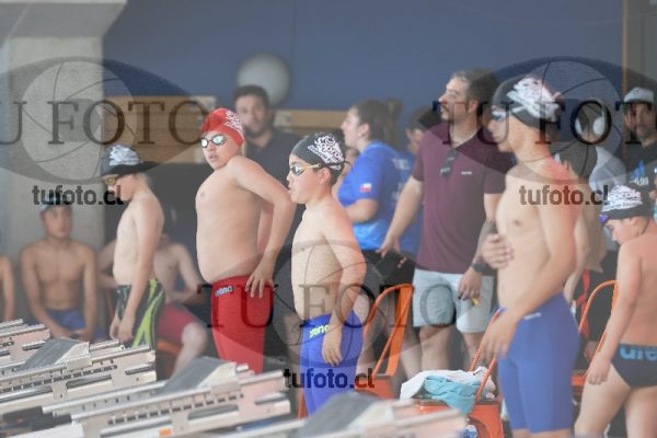 Image Copa Soprole Varones 50 Metros Libre 00142