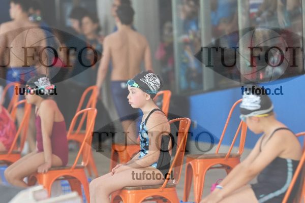 Image Copa Soprole Damas 50 Metros Espalda 00003
