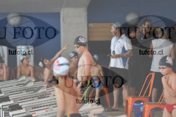 Image Copa Soprole Varones 50 Metros Espalda 00016