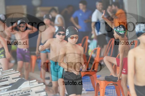 Image Copa Soprole Varones 50 Metros Espalda 00055