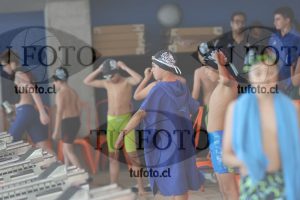 Image Copa Soprole Varones 50 Metros Espalda 00086