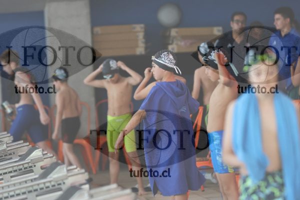 Image Copa Soprole Varones 50 Metros Espalda 00086