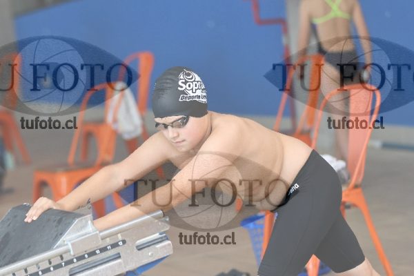 Image Copa Soprole Varones 50 Metros Espalda 00090