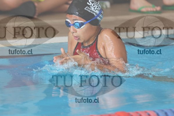 Image Copa Soprole Damas 50 Metros Pecho 00083