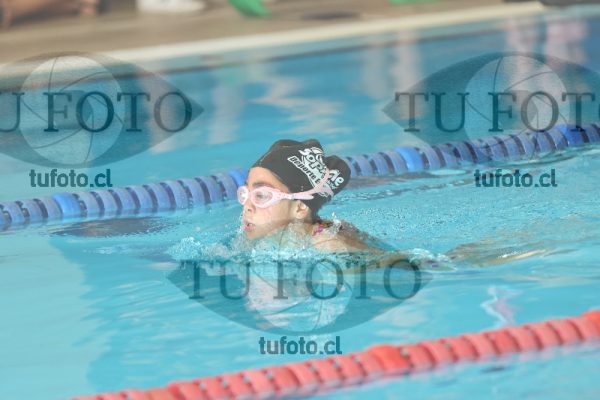 Image Copa Soprole Damas 50 Metros Pecho 00022