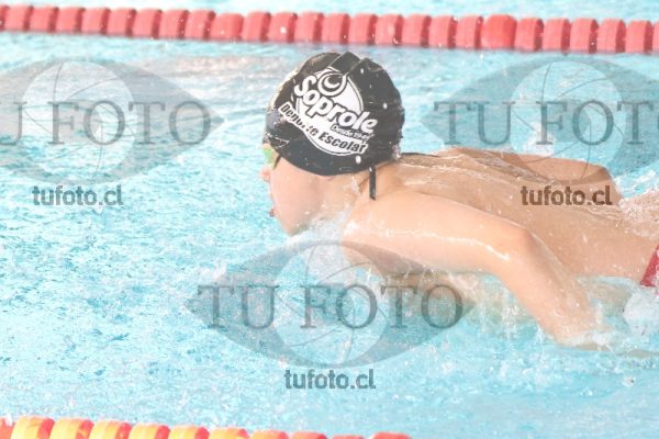 Image Copa Soprole Varones 50 Metros Mariposa00055