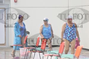 Image Libre Damas 00034