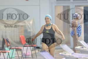 Image Libre Damas 00053