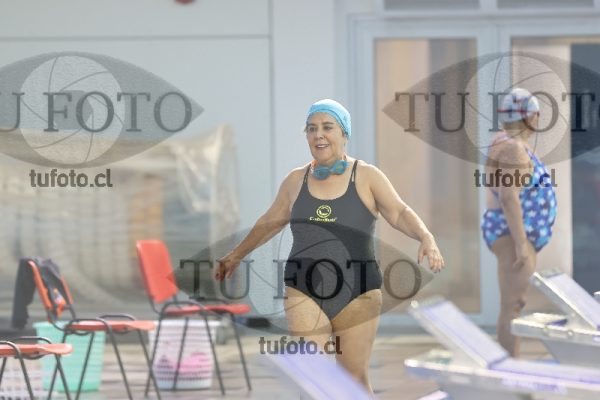 Image Libre Damas 00053