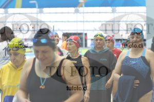 Image Libre Damas 00077