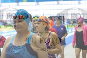 Image Libre Damas 00081