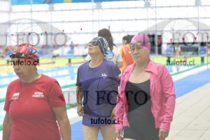 Image Libre Damas 00083