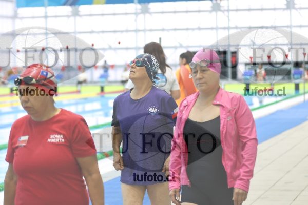 Image Libre Damas 00083