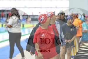Image Libre Damas 00116