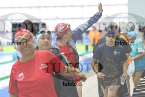 Image Libre Damas 00117