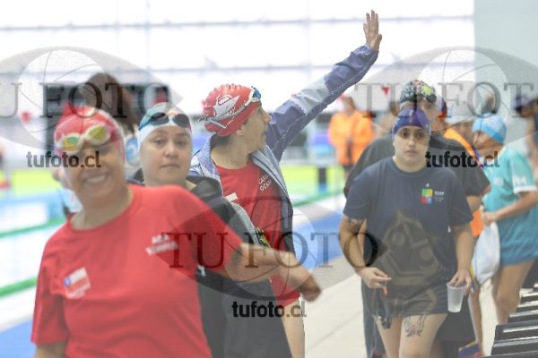 Image Libre Damas 00117