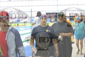 Image Libre Damas 00120