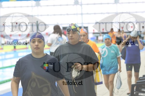 Image Libre Damas 00121