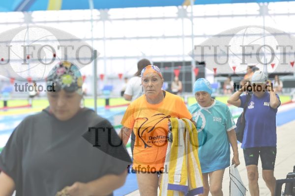 Image Libre Damas 00122