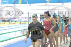 Image Libre Damas 00147