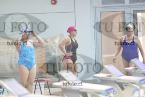 Image Libre Damas 00161