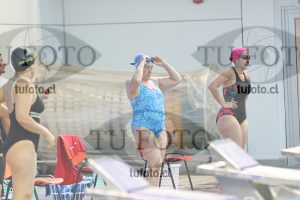 Image Libre Damas 00162