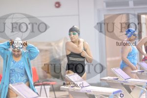 Image Libre Damas 00172