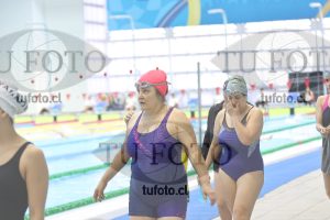 Image Libre Damas 00186