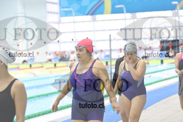 Image Libre Damas 00186