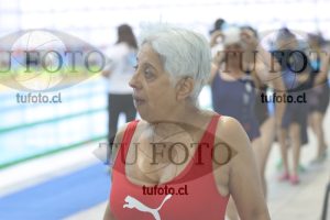 Image Libre Damas 00217